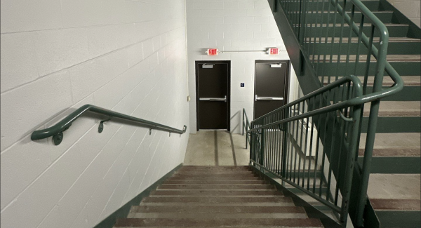 staircase in commercial building with green paint