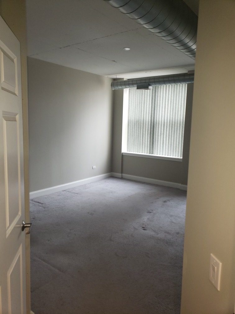 professional house painters in chicago il