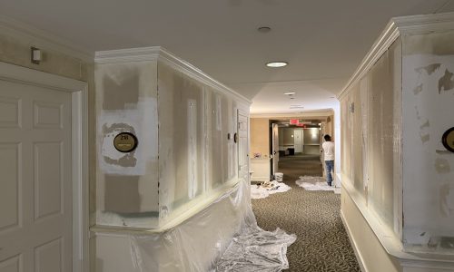 Sectioning & Protecting Walls