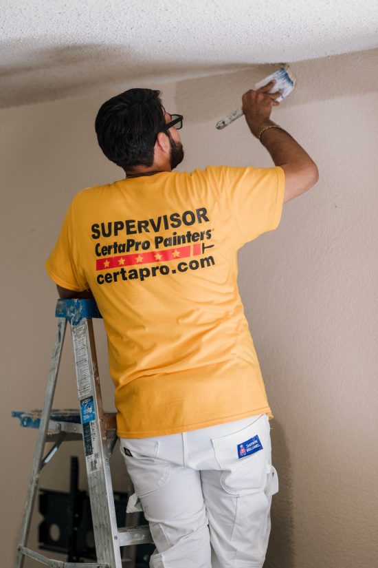 Interior Painter