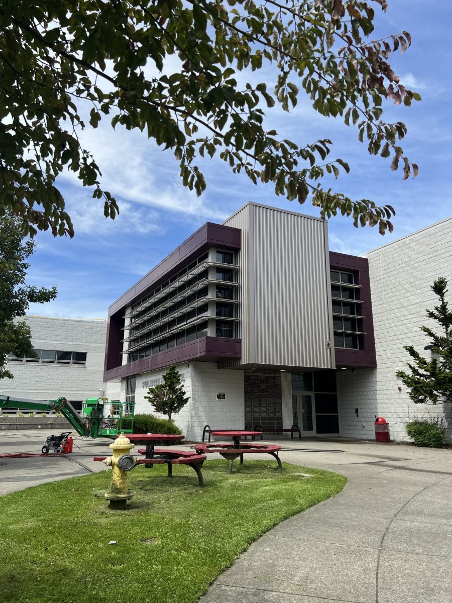 before repainting Steilacoom Highschool Preview Image 8