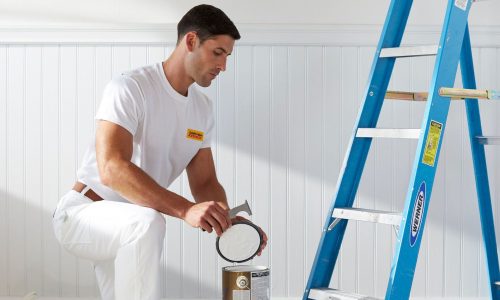 Interior House Painting