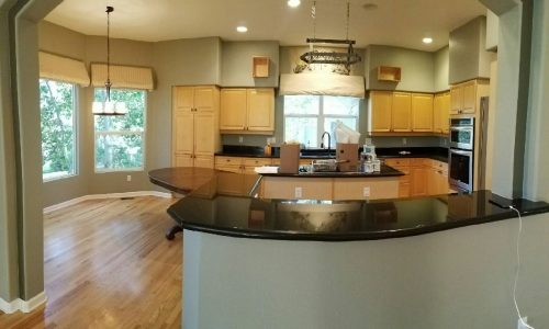 Kitchen Painting