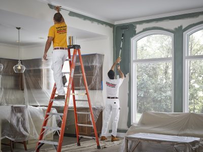 Apply New Paint
