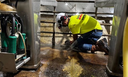 Gill Dairy Case Study During Photo