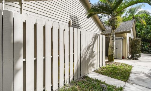 Fence Painting