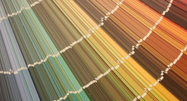 paint swatches with a range of colors