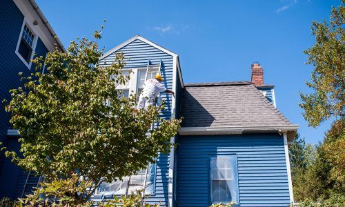 Expert Painting and Meticulous Cleanup