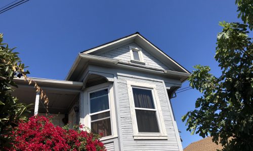 House Painting