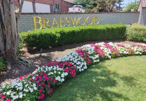 Braeswood Neighborhood Project
