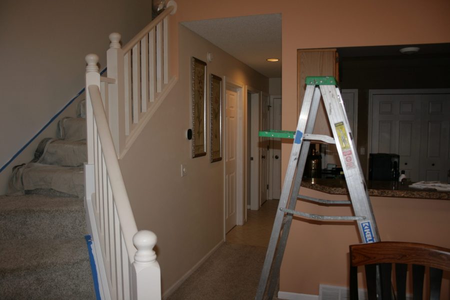 Duplex Painting Project Preview Image 3