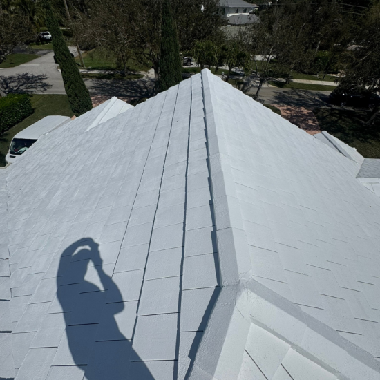 Cosmetic Roof Painting