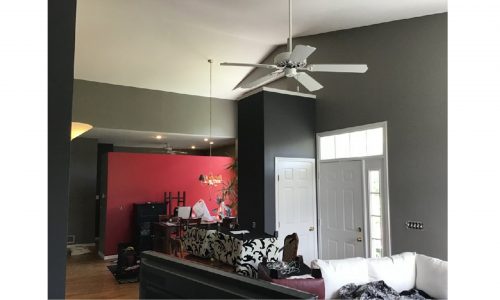Living Room Painting