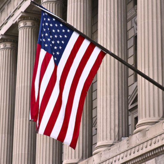 Government Building with Flag