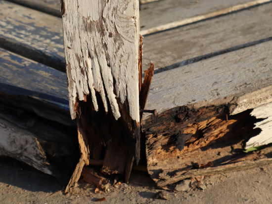 wood rot repair in st augustine