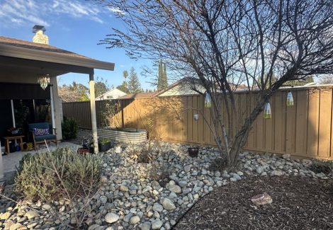 Fence Painting in Sacramento