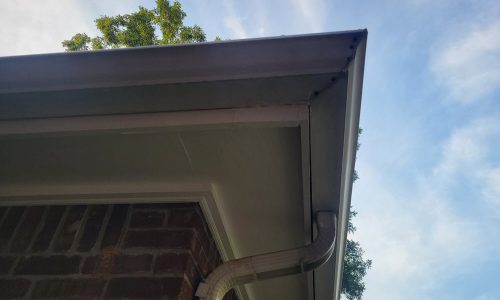 Fascia After