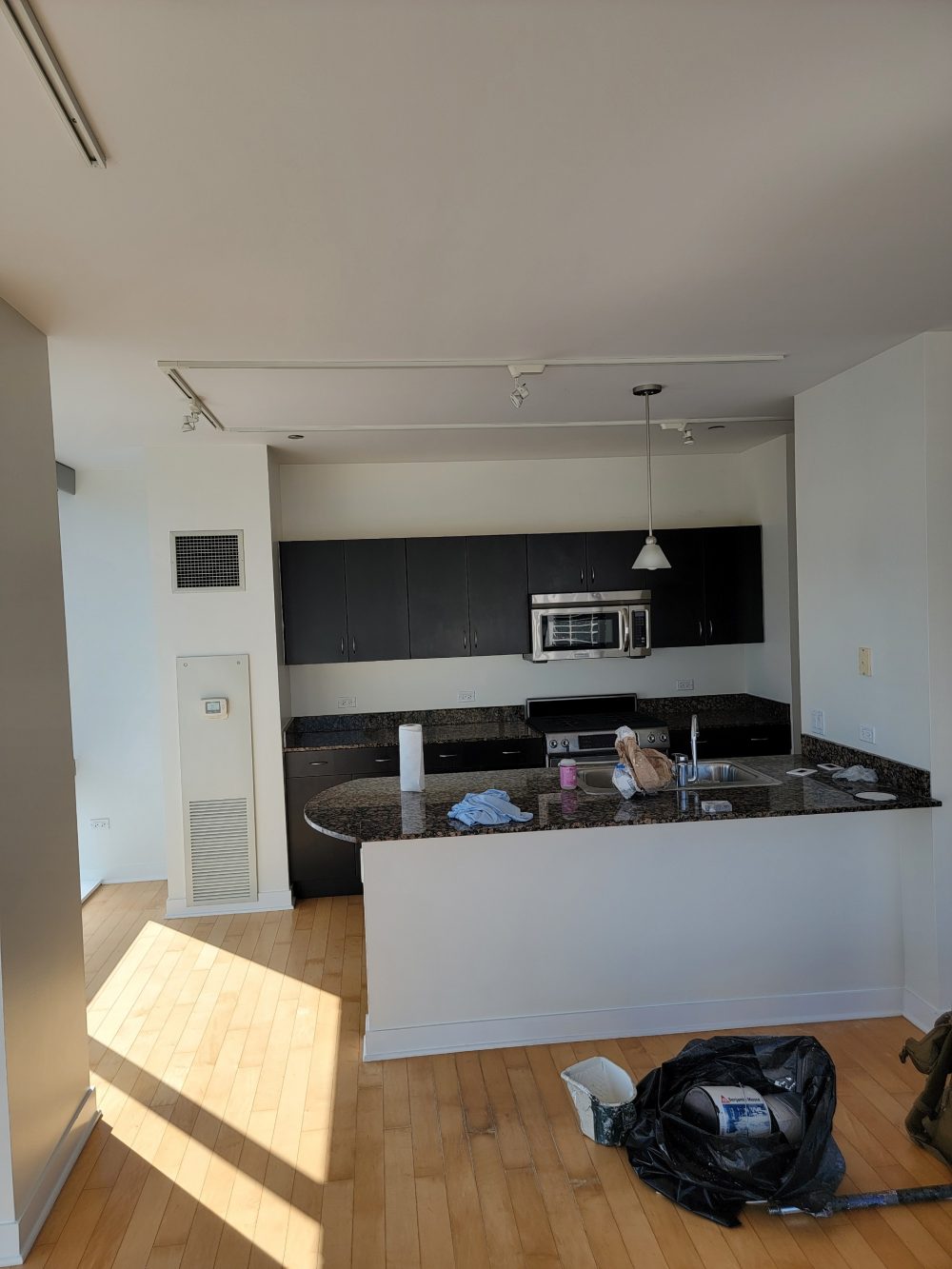 Chicago Condo Full Interior Repaint