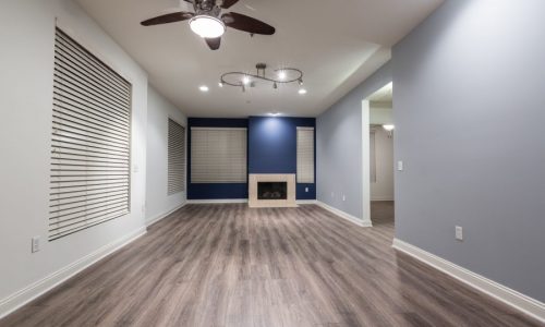 Interior Painting Project