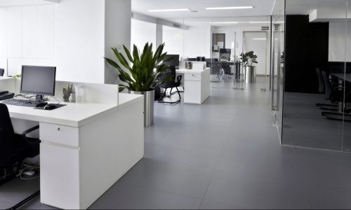 Office Interior Painting