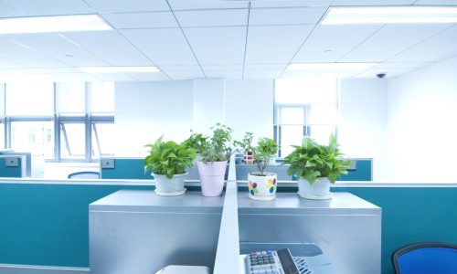 Commercial Office Interior
