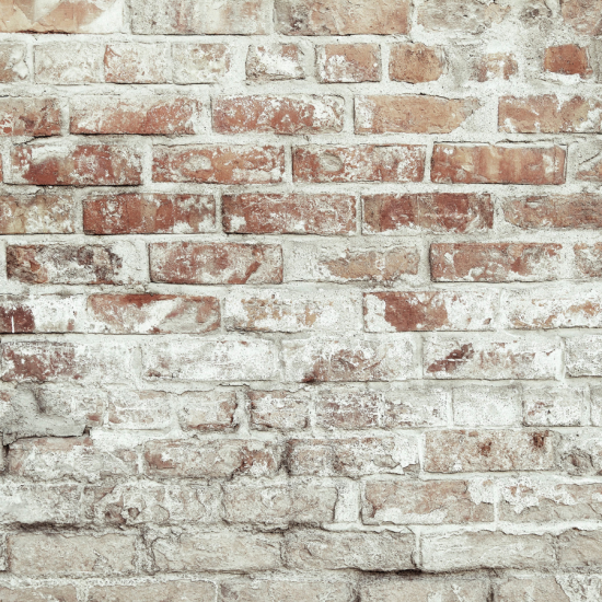 Limewashed Bricks
