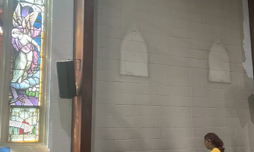 Interior Walls – In Progress