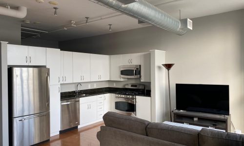 Modern Kitchen Cabinets