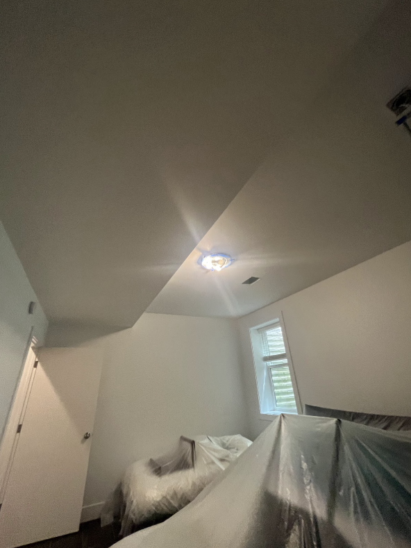 Duplex Painting Project Preview Image 7