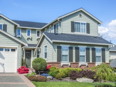 Expert Painters near me