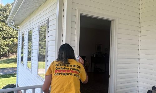 Exterior Siding - During
