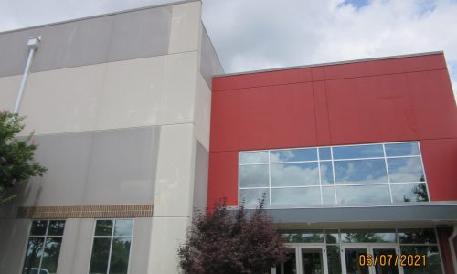 Closer Look at the Multi-Colored Paint