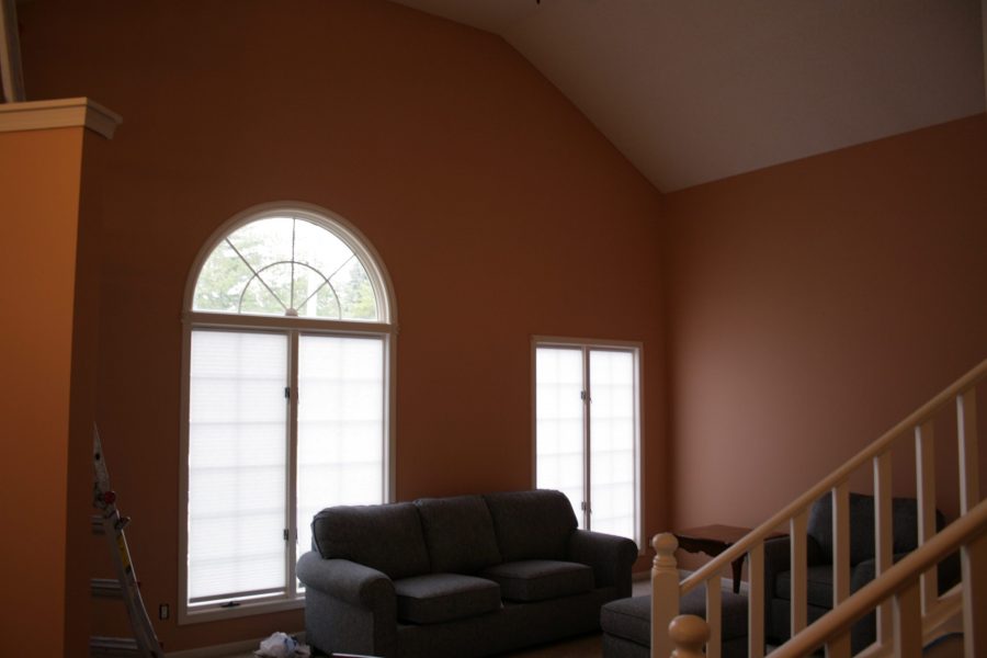 Duplex Painting Project Preview Image 6
