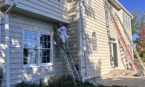 Light Beige Siding