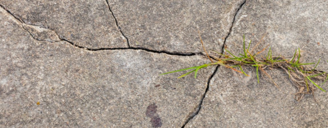 Business Owners: Cracked Concrete is Not a Good Look