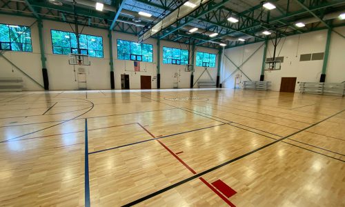 Basketball Court Painting