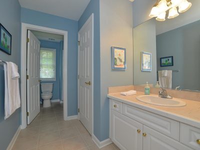 Butler Bathroom Painting