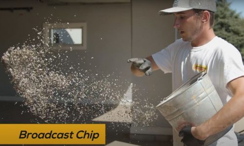 Broadcast Chips