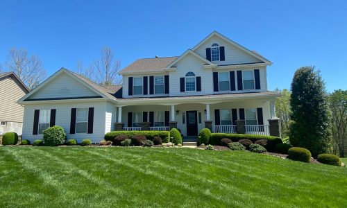 Vinyl House Painting