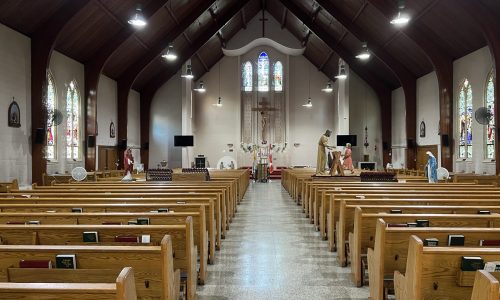 Sanctuary Overview – In Progress