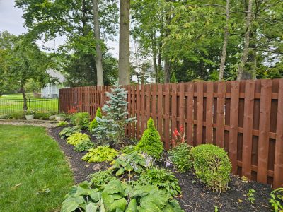 Fence Staining