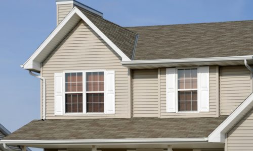 Vinyl Siding Project