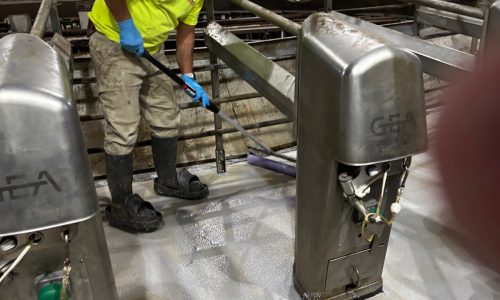 Gill Dairy Case Study After Photo