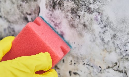 Cleaning