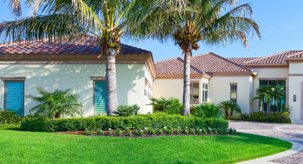 Spring exterior painting with blossoming trees in central miami