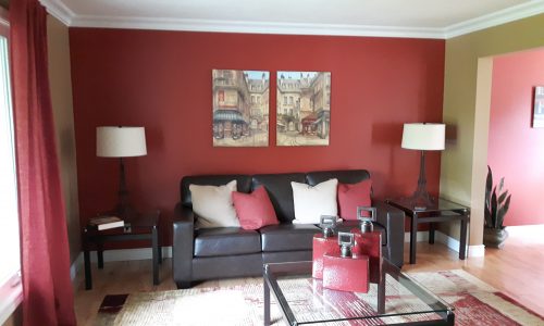Deep Red Accent Wall & Olive Living Room Interior Painting