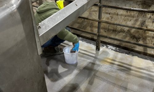 Gill Dairy Case Study After Photo