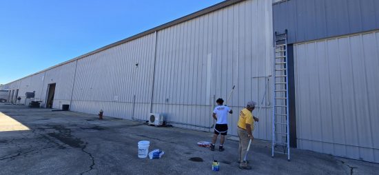 Window Repainting & Restoration (During)