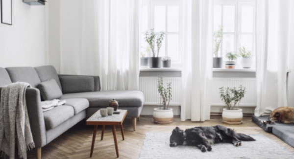 living room