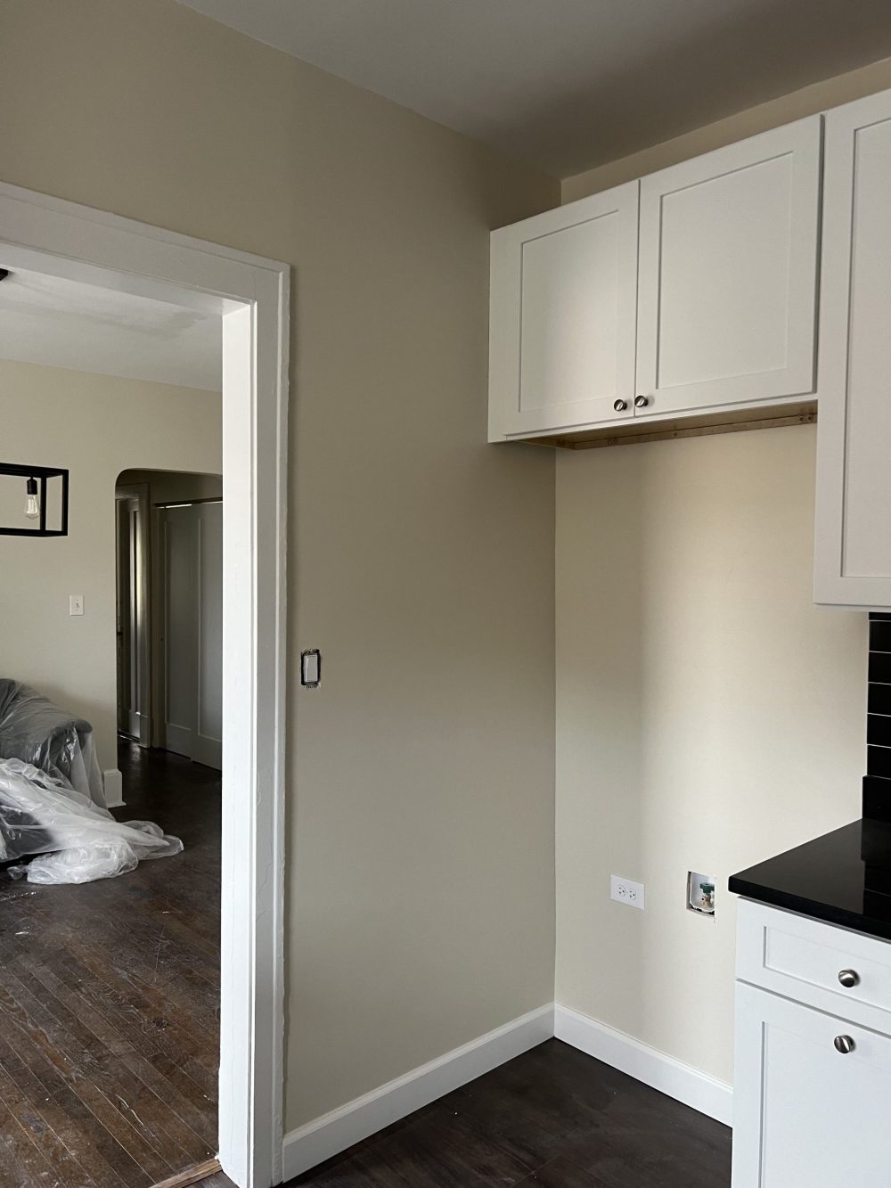 Condo Interior Repaint at Lincoln Park 60614